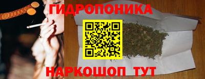 гашик Можайск