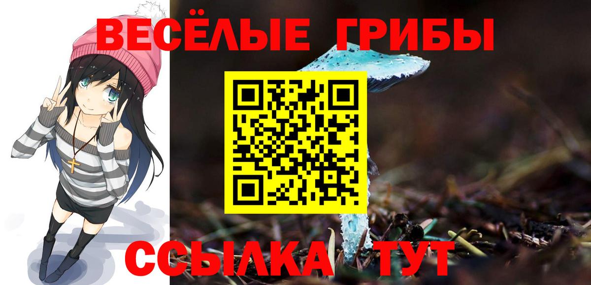 Псилоцибиновые грибы прущие грибы  Вход с VPN  Галлюциногенные грибы прущие грибы  Владикавказ 